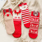 Coffret Chaussettes hivernale