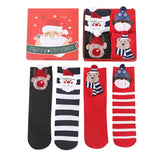 Coffret Chaussettes hivernale